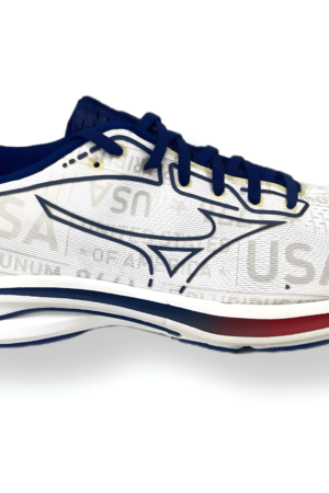 Mizuno Wave Rider (10.5 US)